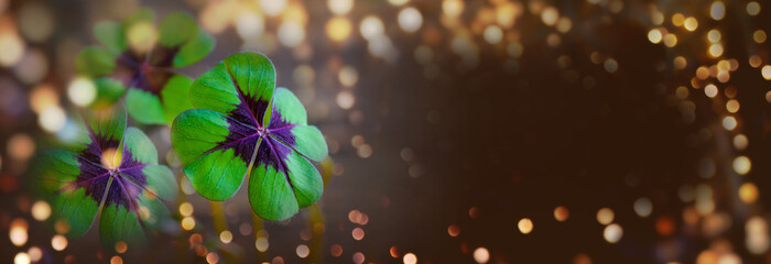 New Year background banner with copy space - Lucky clover leaves with magical bokeh lights against beautiful brown background - clover, shamrock, good luck
