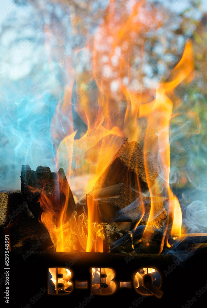 Obraz premium burning firewood in a brazier in the garden, fire flames outdoors