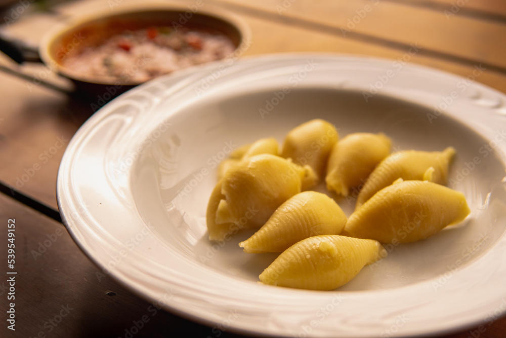 conchiglione with red sauce a very beautiful and tasty italian pasta conchiglione with red sauce a very beautiful and tasty italian pasta