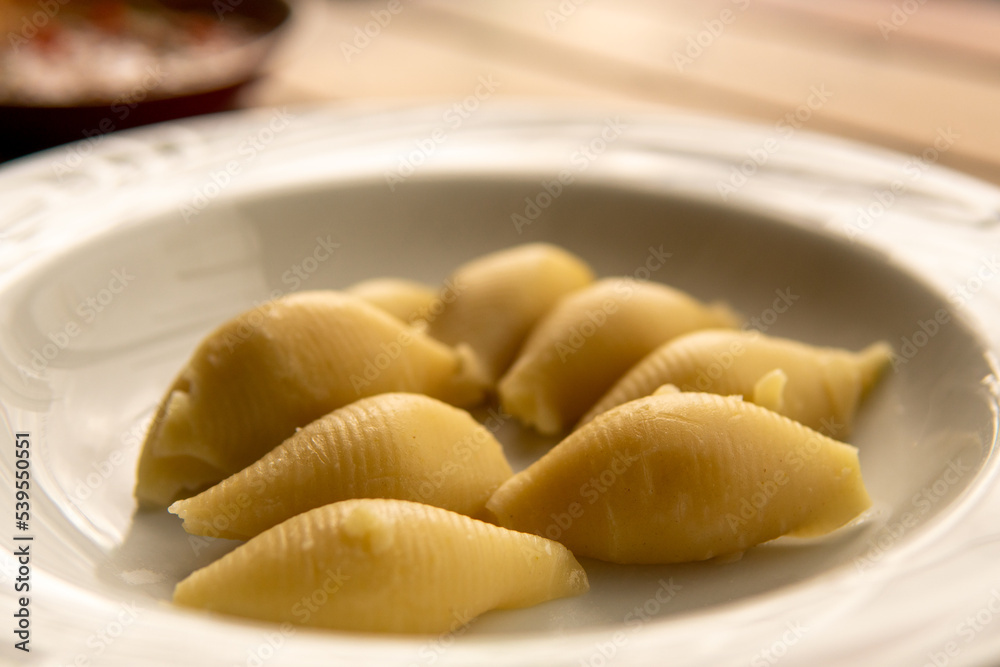 Italian pasta conchiglione without sauce Italian pasta conchiglione without sauce