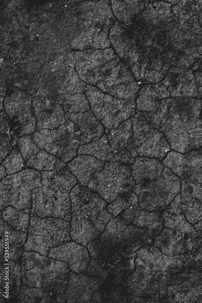 Dry Soil Black and White Dry Soil Black and White