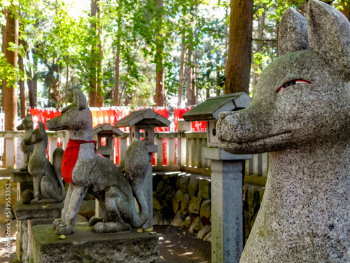 Temple Guardians photo