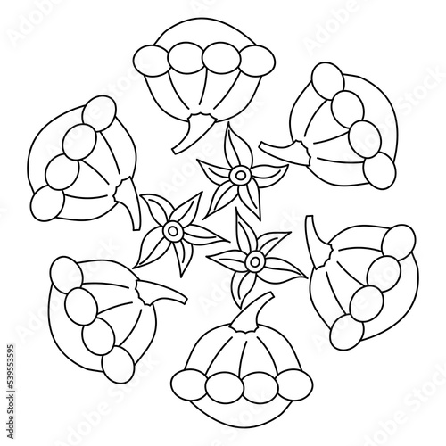 Bush pumpkin coloring page for kid. Simple vector mandala
