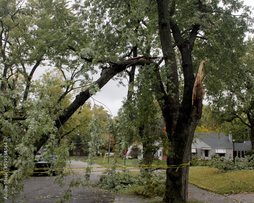 storm damage with broken limbs and fallen branches in a neighborhood street