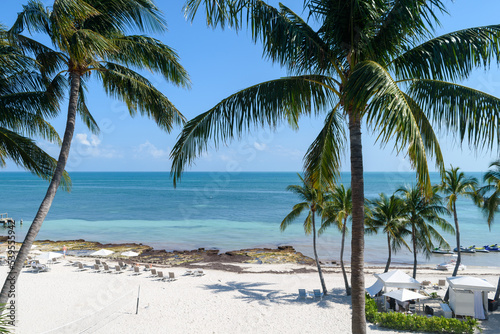 Fototapeta Naklejka Na Ścianę i Meble -  Key West beach with palm trees
