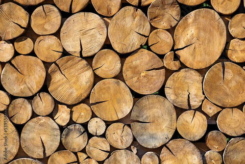 Texture of wooden logs for photo and design.