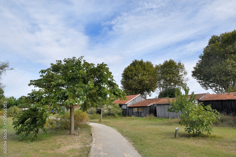 Paysage du bassin d'Arcachon en Gironde