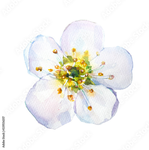Beautiful apple blossom flowers illustration.Hello spring concept. Easter blooming flower. Pink cherry blossom artwork.