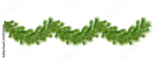 Fotografia Green pine twigs in a Christmas garland isolated on transparent background