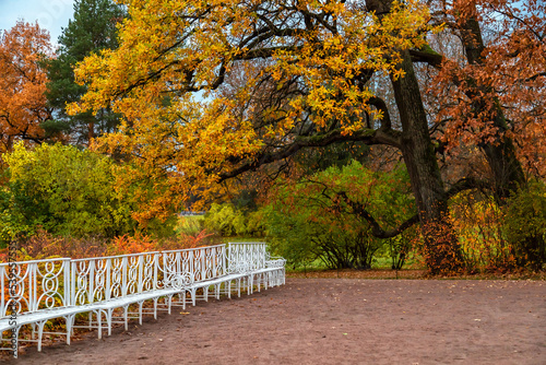 urban autumn park with white benches