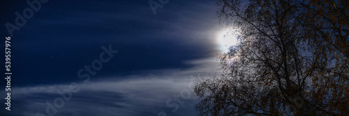 Wide panorama of shiny fool Moon behind cloud and birch tree on night starry sky