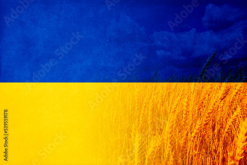 ukrainian flag with wheat field in background