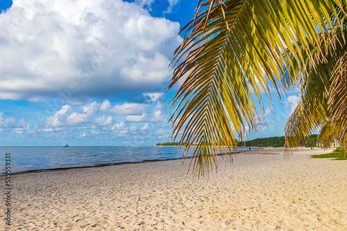 Fototapeta Naklejka Na Ścianę i Meble -  Tropical beach turquoise water palm trees Playa del Carmen Mexico.