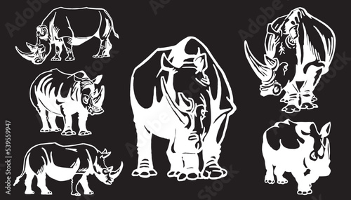 Vector set of rhinoceroses on black isolated,graphical drawing. Stylish print elements, savanna habitant