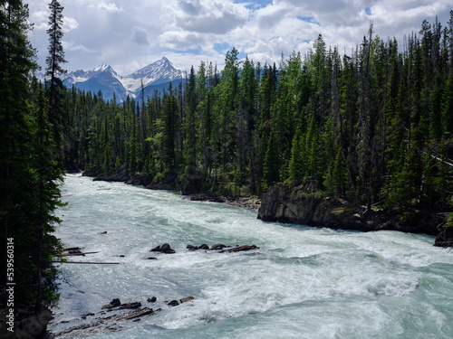 The Kicking Horse River flows towards the Canadian Rockies