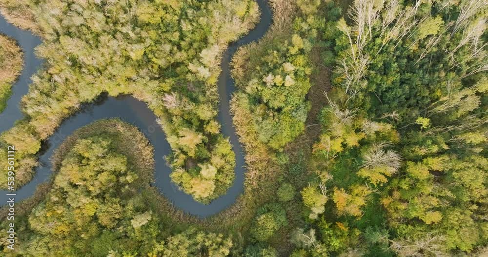Aerial top view, flying sidewards, of forest in autumn with meandering river Aa, Starkriet, Someren-Eind, Noord-Brabant, Netherlands Aerial top view, flying sidewards, of forest in autumn with meandering river Aa, Starkriet, Someren-Eind, Noord-Brabant, Netherlands