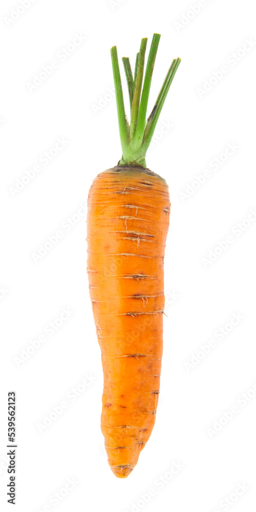 Carrot isolated on white background. Carrot isolated on white background.