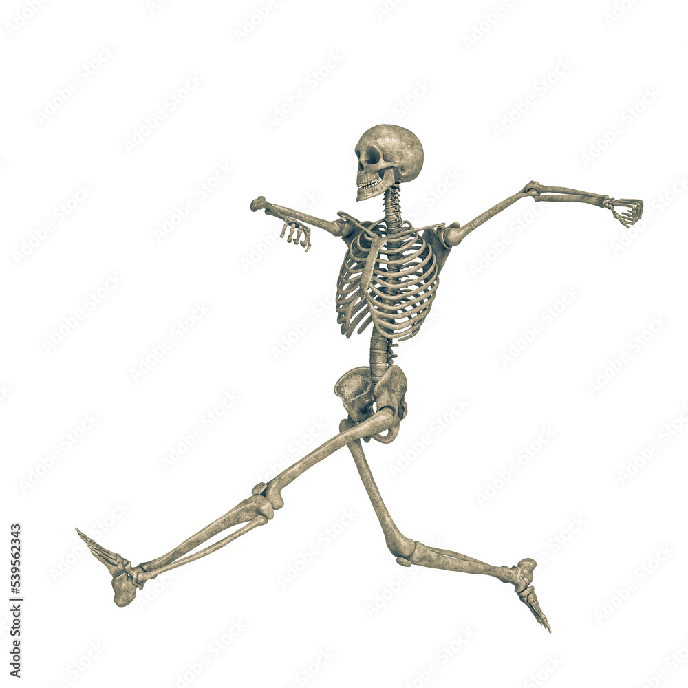 skeleton in a white background doing a happy run skeleton in a white background doing a happy run