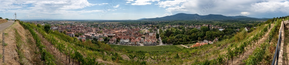 Obernai, France - 09 03 2022: Panoramic view of terraced vines fields and the village behind