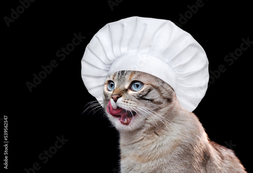 Close-up portrait of a cat licking nose