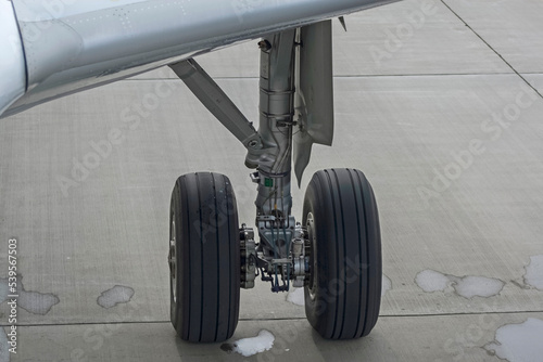 The main landing gear of a passenger aircraft, extended landing gear