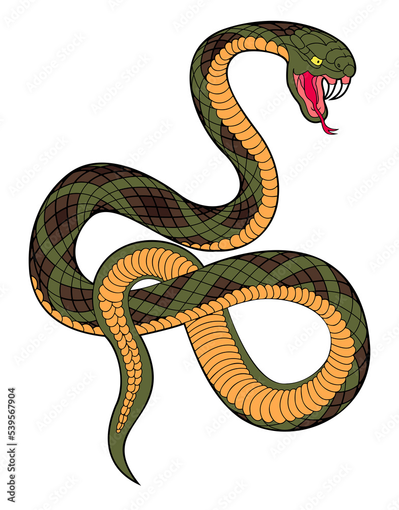 Fototapeta premium coiled green snake