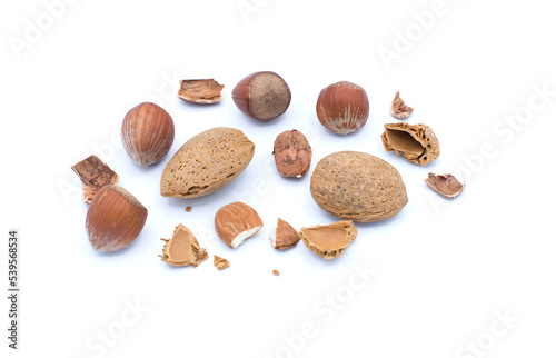 éclats de noisettes et amandes sur fond blanc / slivers of hazelnuts and almonds on a white background photo