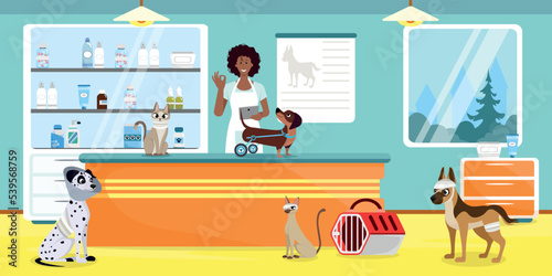 Vector illustration of modern interior veterinary. Cartoon interior with veterinarian, sick dogs and cats, medicine counter, window with access to the city.