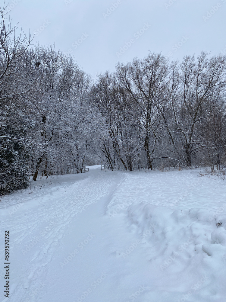 winter landscape with snow covered trees winter landscape with snow covered trees