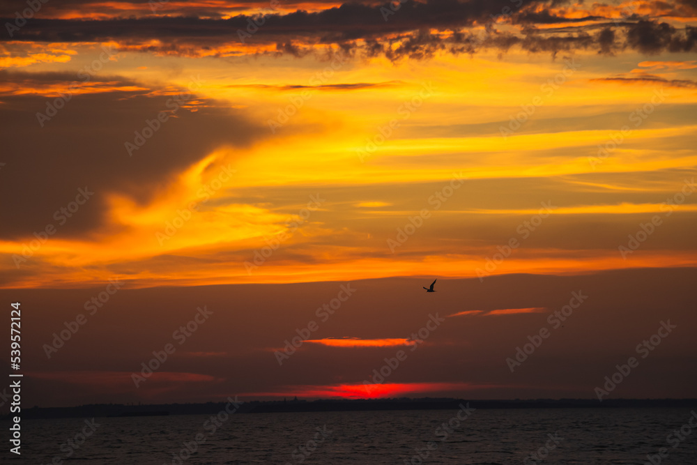 Amazing Black sea. Clouds and lonely bird landscape background. Drama yellow sky and sun. Golden blue hour at the ocean romantic evening. Tropical island summer paradise. Wild rest in camp. Amazing Black sea. Clouds and lonely bird landscape background. Drama yellow sky and sun. Golden blue hour at the ocean romantic evening. Tropical island summer paradise. Wild rest in camp.