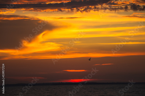 Amazing Black sea. Clouds and lonely bird landscape background. Drama  yellow sky and  sun. Golden blue hour at the ocean romantic evening. Tropical island summer paradise. Wild rest in camp.