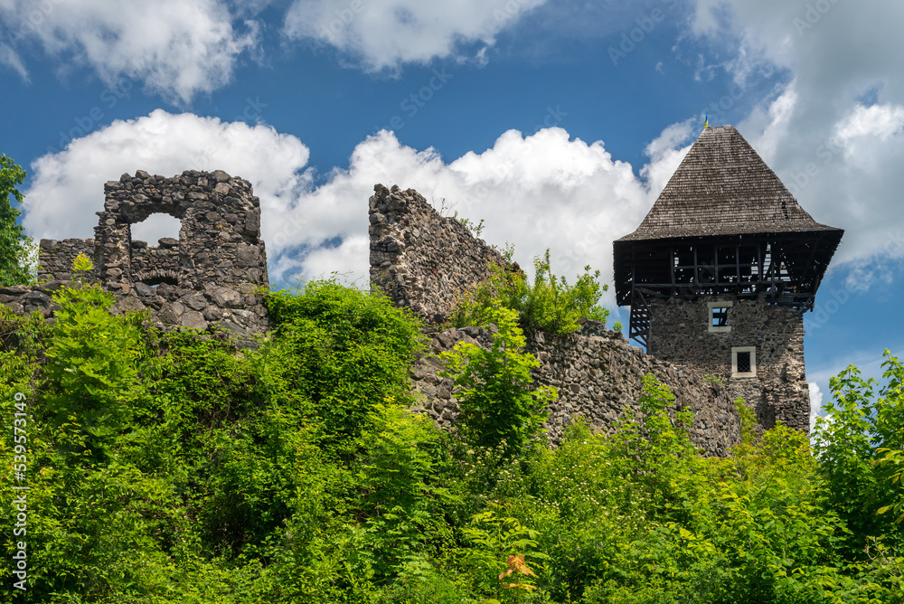 Fototapeta premium Old ruins of Nevitsky castle medieval on Zakarpattia, Ukraine