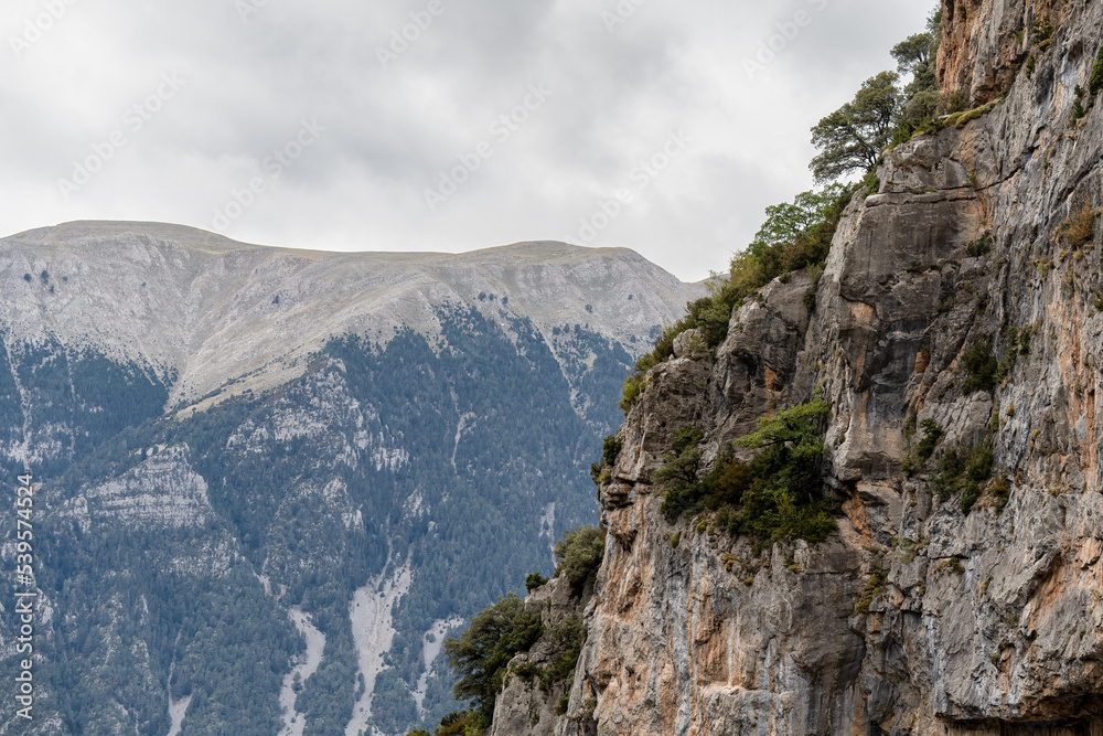 Obraz premium magnificent view of Pyrenees mountains with rock outcrops and forest covered slopes