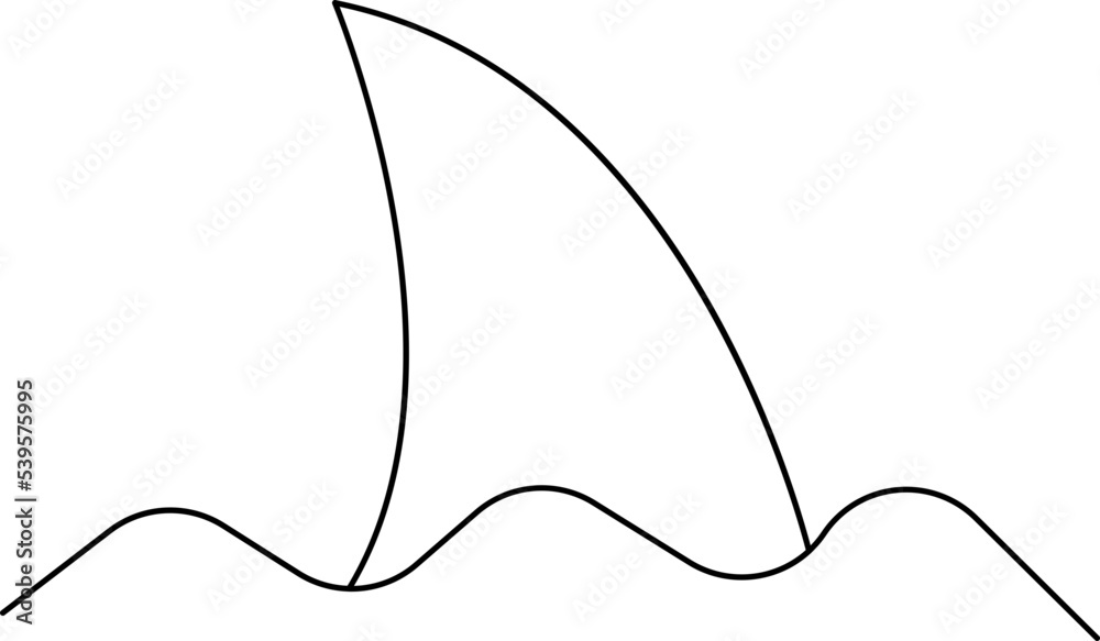 shark fin shark fin