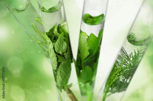Plant in petri dish and transparent podium with blank space in laboratory background for plants advertising
