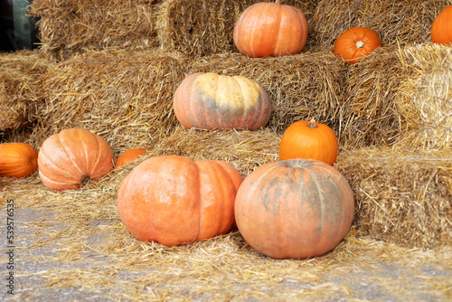 Orange halloween pumpkins on stack of hay or straw in sunny day. Halloween decoration at home. Rustic Fall Pumpkins and straw Background. Autumn festival. Stylish fall decor of exterior building. 