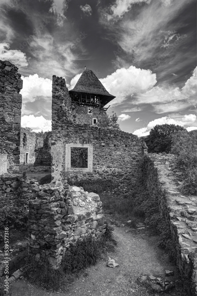 Old ruins of Nevitsky castle medieval on Zakarpattia, Ukraine