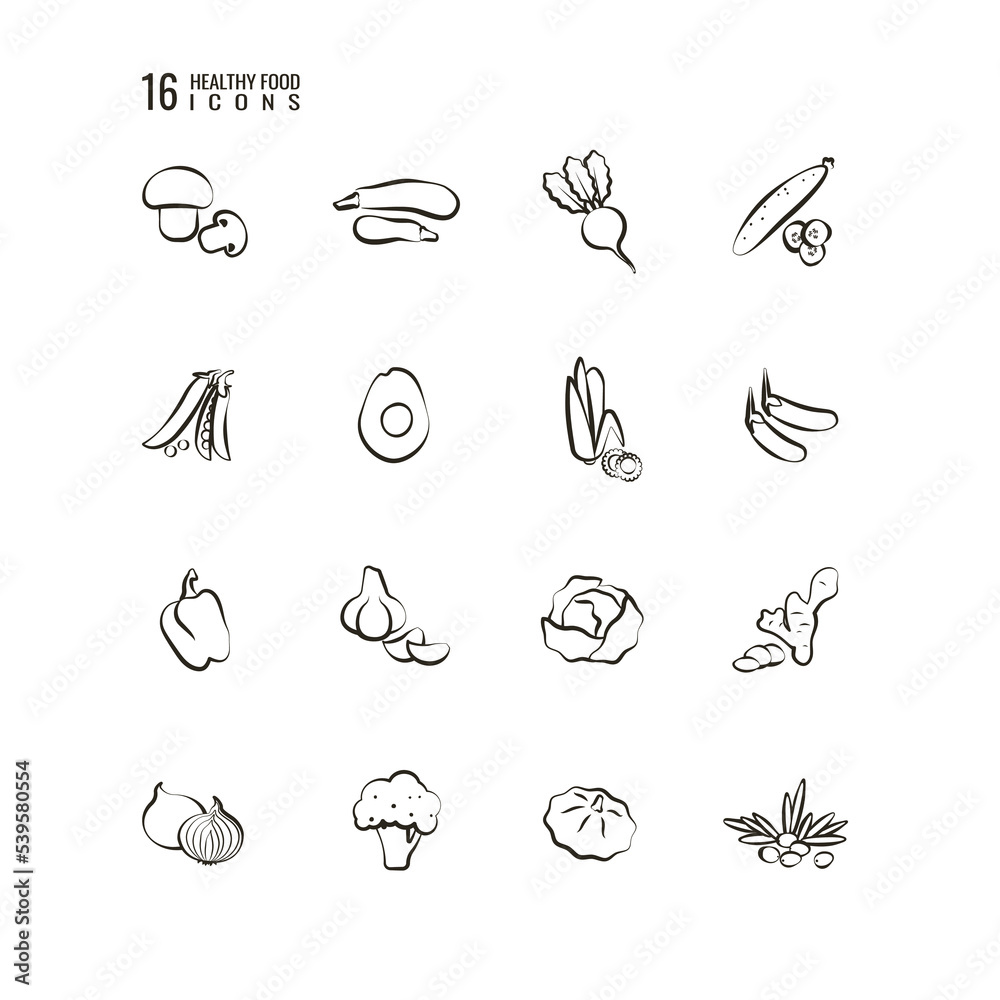 Handdrawn set of healthy food icons. Natural products. Set of vegetables and mushrooms. Vector