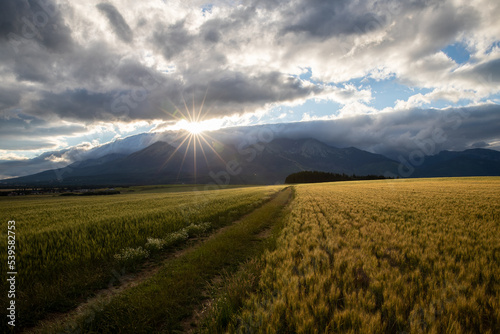 sunset over the field and mountains