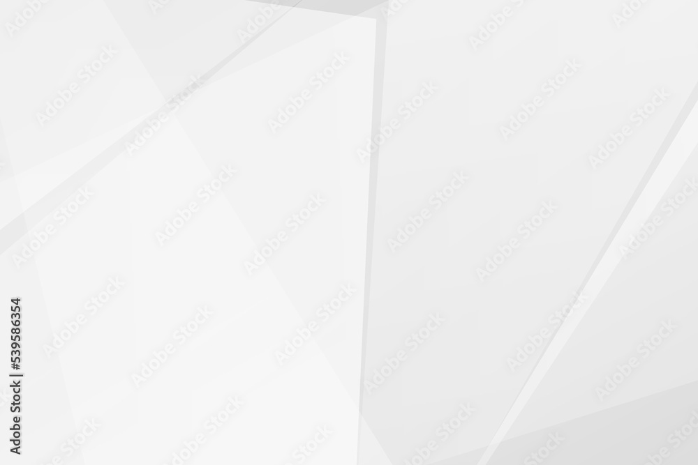 Obraz premium Abstract white and grey on light silver background modern design. Vector illustration EPS 10.