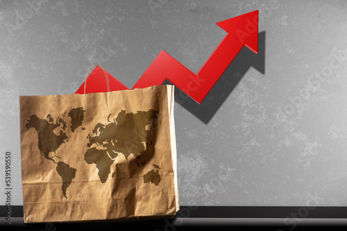 Paper bags with world map. ...