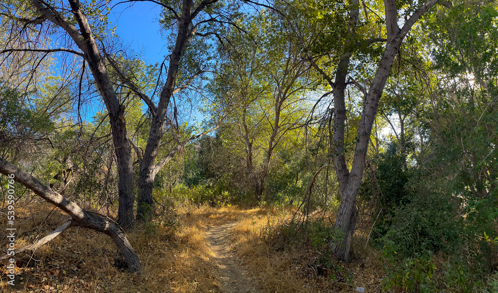 Malibu Creek State Park, Santa Monica Mountains, California Malibu Creek State Park, Santa Monica Mountains, California