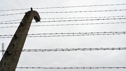Barbed wire in concentration camp. Close-up of sharp wire fence against cloudy sky. Rusty metal barbered wire.  photo