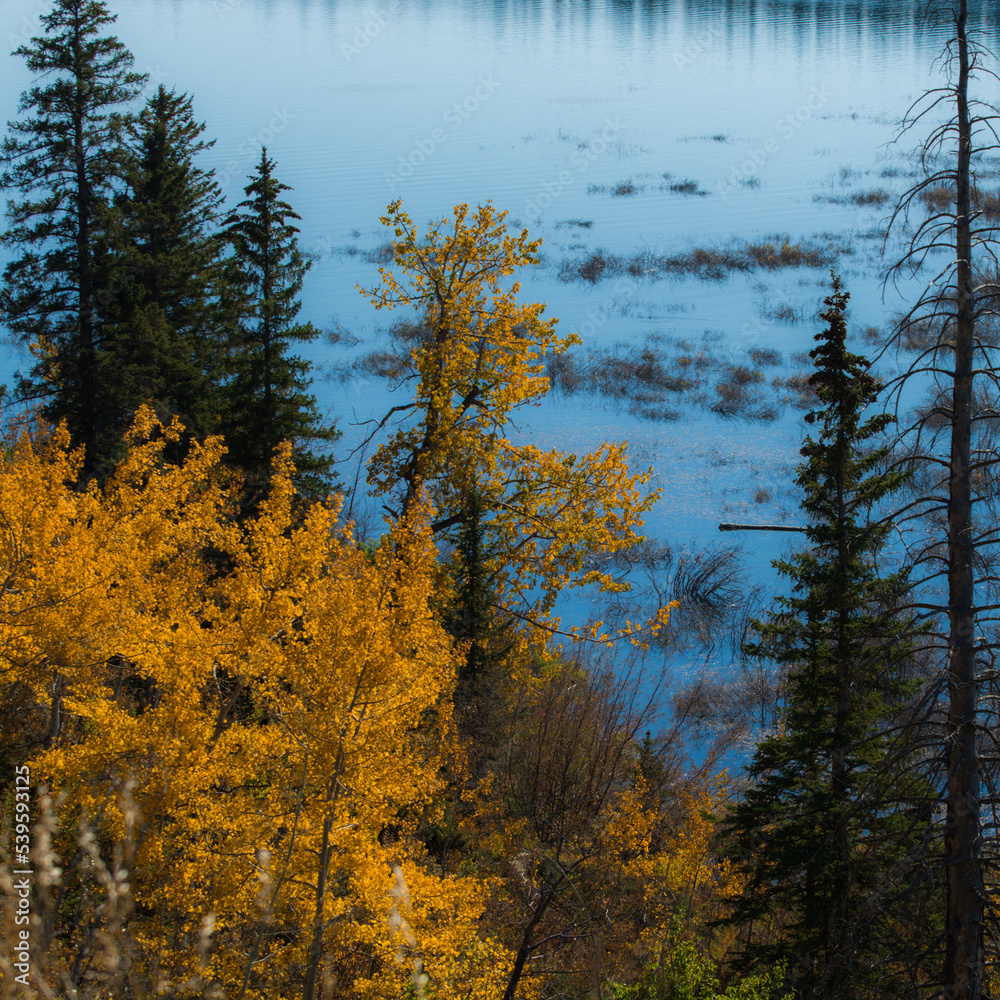 Fototapeta premium Lake with Trees in the Foreground in Autumn