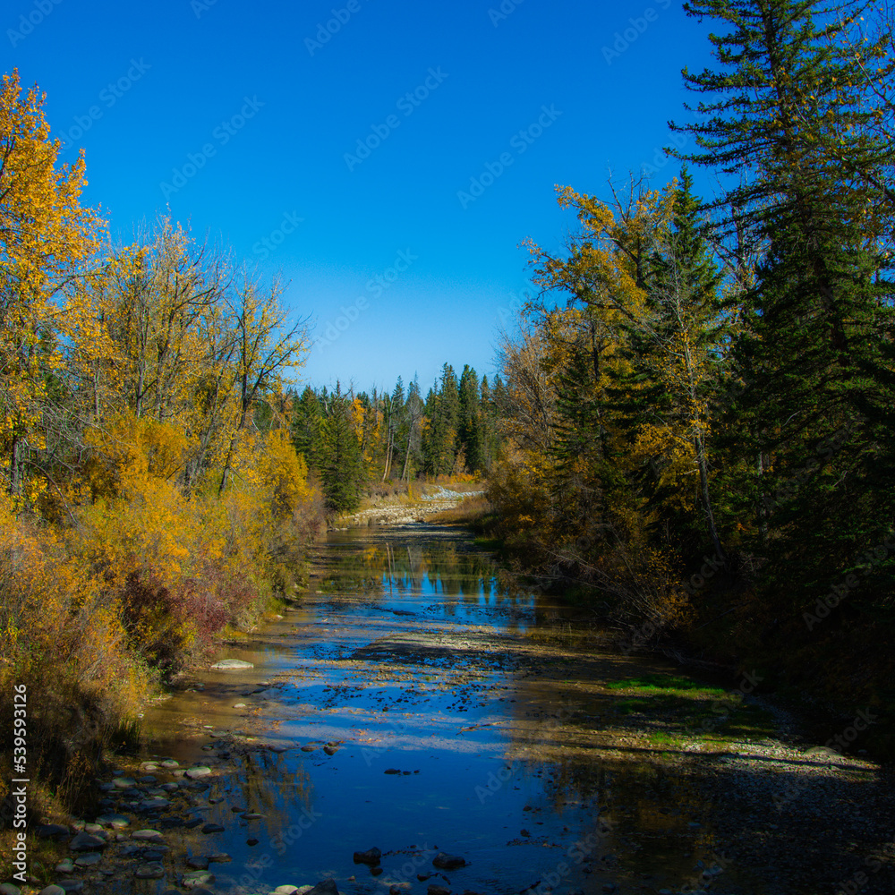 Fototapeta premium River with Trees on both sides in Autumn