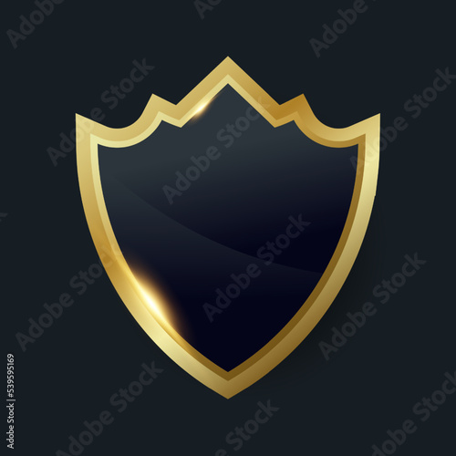Golden black shield protection emblem vector template