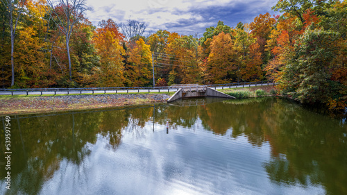 Colorful view of a park with a lake as the primary subject. 
