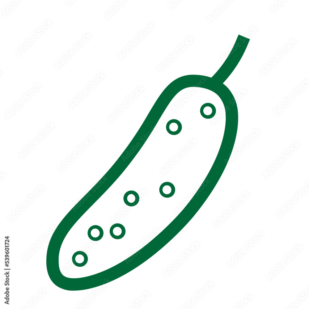 cucumber food healthy organic vegetable vegetables icon