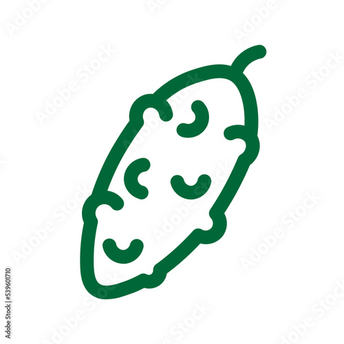 cucumber food gherkin gourd organic pickle vegetable icon