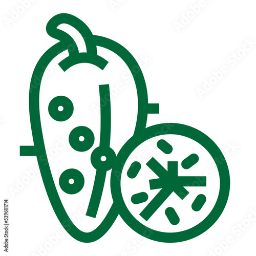 cucumber food gherkin vegetable vegetarian vitamins icon